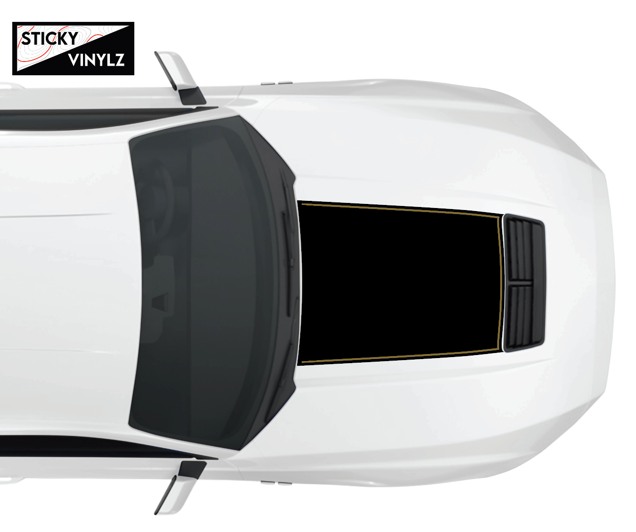 2024+ Mustang GT Hood Insert w/Color Accent