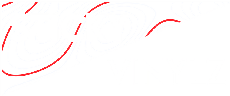 Sticky Vinylz logo